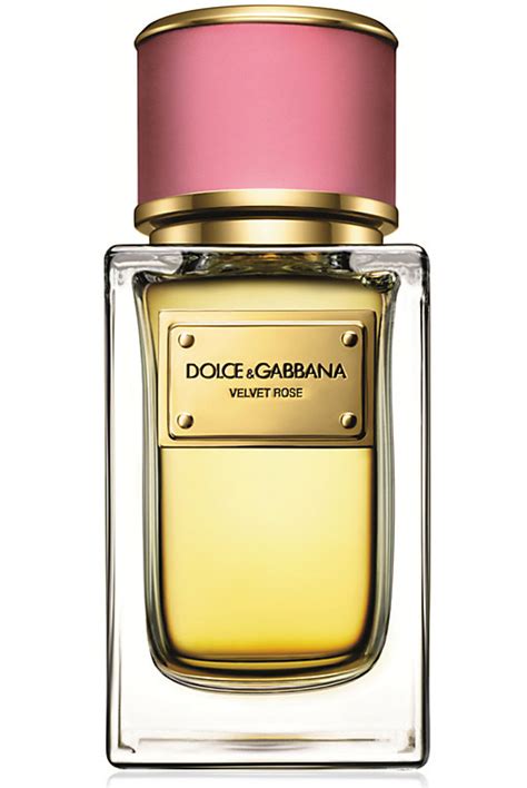 dolce gabbana rotes parfum|dolce and gabbana perfumes list.